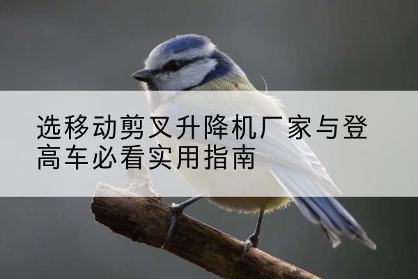 宁波电动升降机厂家-选移动剪叉升降机厂家与登高车必看实用指南