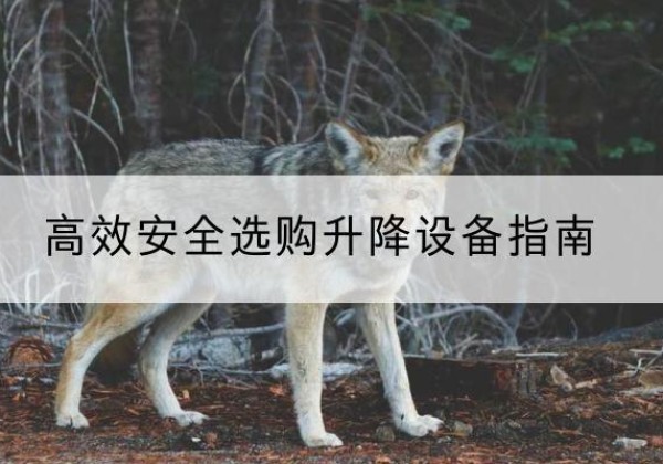 宁波升降货梯厂家推荐-*安全选购升降设备指南