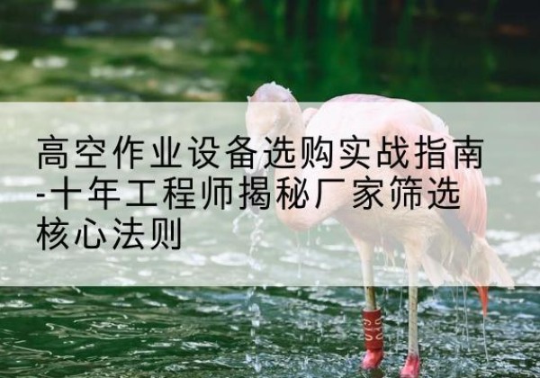 宁波剪叉式升降机厂家-高空作业设备选购实战指南-十年工程师揭秘厂家筛选核心法则